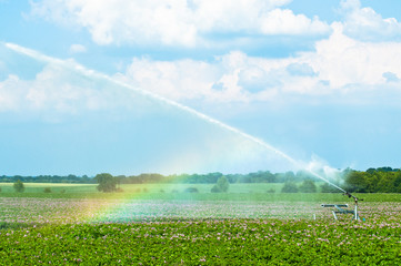 Water Spraying Crops