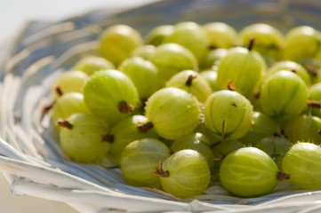 Gooseberries