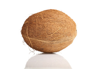 Isolated coconut