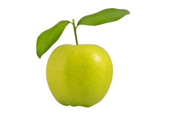 fresh green apple with leaves