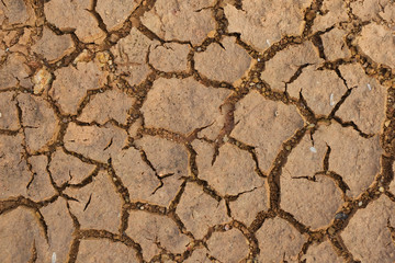 Cracked Ground