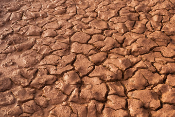 Cracked Ground