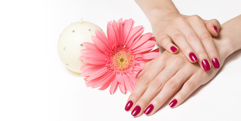 Bright manicure, pink daisy and white candle isolated