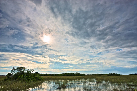 Everglades