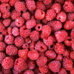 raspberry background