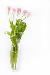 bunch of pink tulips in vase on white