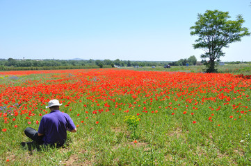 repos champêtre