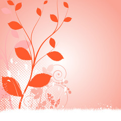 floral background