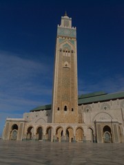 Fototapeta premium OLYMPUS DIGITAL CAMERA