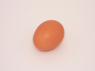 a single egg