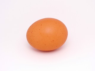 a single spotted egg