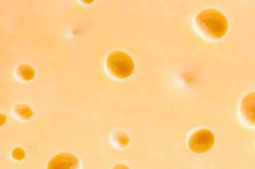 Piece of tasty cheese