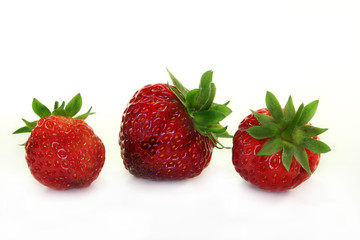 Erdbeeren