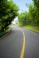 Fototapeta premium Bamboo and curved road in china