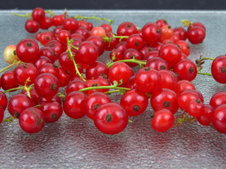 Rote Johannisbeeren