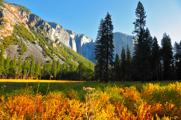 Early autumn  in valley of mountains
