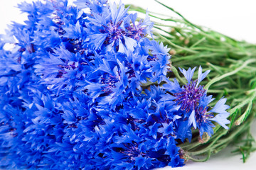 Cornflowers