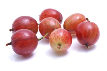Stachelbeeren