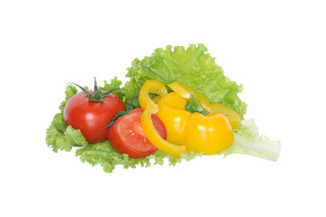 Salad Ingredients