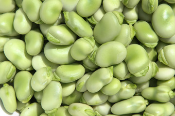 Broad Beans.