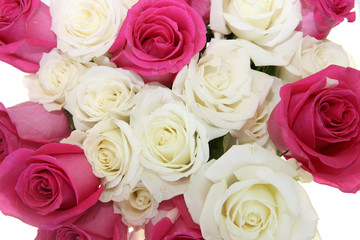 Red and yellow roses