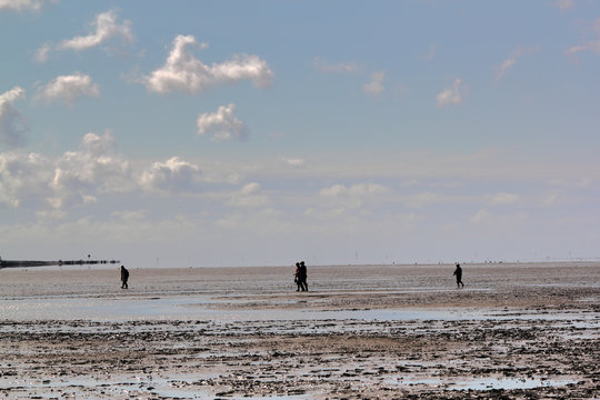 Silhouettes On Mudflat