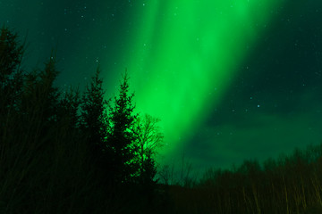 Fototapeta na wymiar Northern Lights w Norwegii