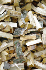 Holz -Energie der Zukunft