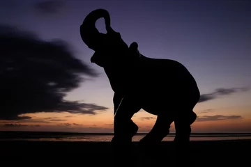 Möbelaufkleber Elefant bei Sonnenuntergang © carlos Restrepo