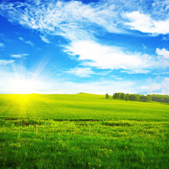 the view of Charming nature, and a lush lawn