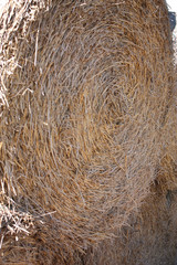 Strohballen - Stroh