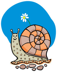 snail