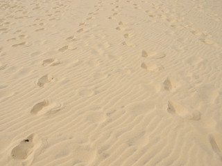 Traces de pas dans la sable