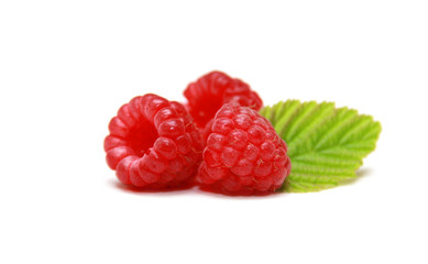 Fototapeta na wymiar Ripe raspberries