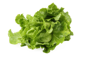lettuce