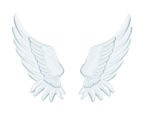 angel wings