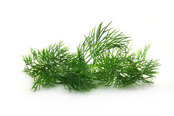 Dill