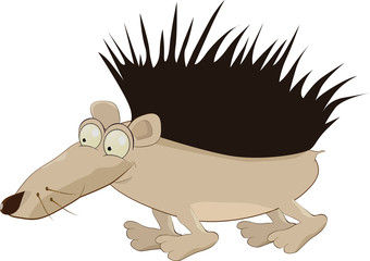 hedgehog