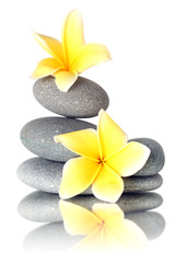 Yellow flowers on stacked stones