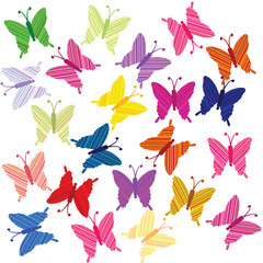 Striped colored butterflies