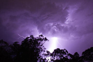 Lightening Strikes behind gumtrees