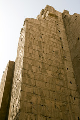 Fototapeta premium luxor