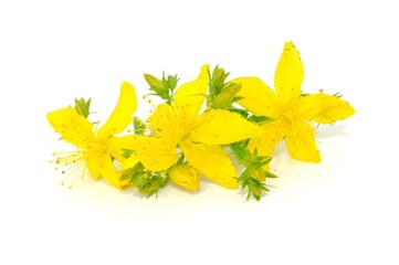 Naturmedizin
