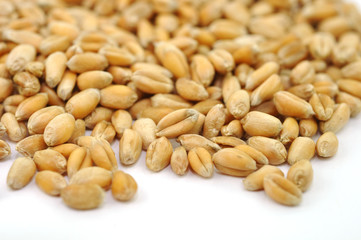 Körner, Weizen
