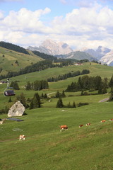 trentino dolomiti