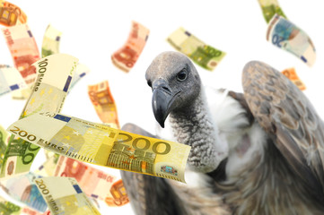 Geld 311