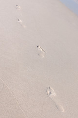 footprints in the sand