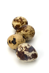 Obraz premium quail eggs