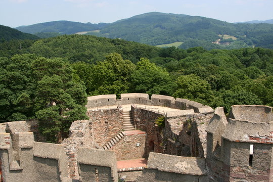 Schlossruine Auerbach