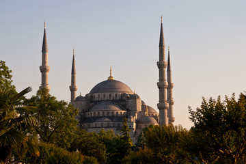 Fototapeta na wymiar Blaue Moschee